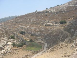 Upper wadi guvrin.jpg