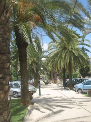 Bialik blvd.jpg