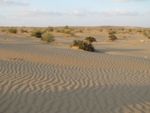 Mashabim dunes.jpg