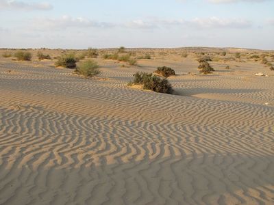 Mashabim dunes.jpg