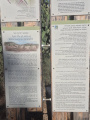 תמונה ממוזערת לגרסה מ־19:25, 8 ביולי 2026