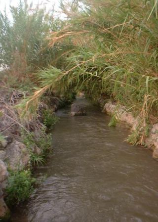 שביל אמת המים בפארק הירדן