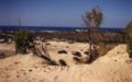 Caesarea dunes.jpg