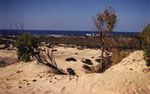 Caesarea dunes.jpg