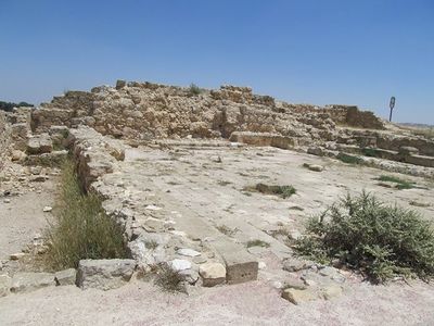 יער להב – iNature