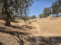 תמונה ממוזערת לגרסה מ־19:15, 5 ביולי 2025