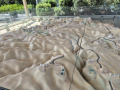 תמונה ממוזערת לגרסה מ־16:49, 27 ביולי 2025